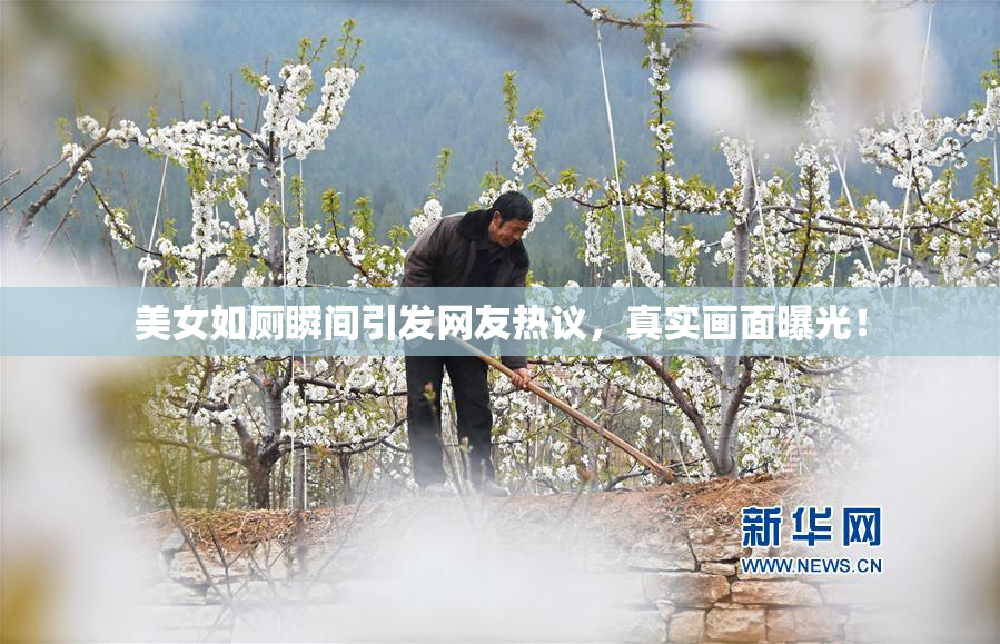美女如厕瞬间引发网友热议，真实画面曝光！