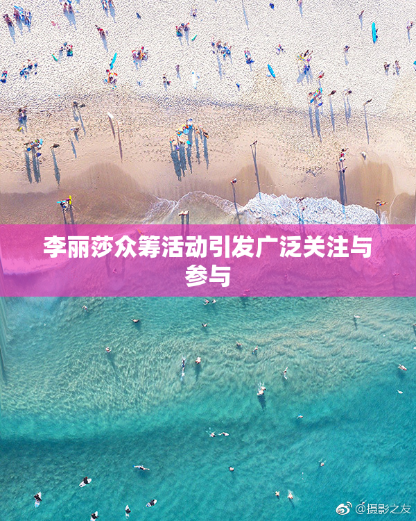 李丽莎众筹活动引发广泛关注与参与