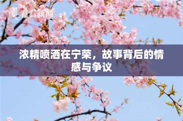 浓精喷洒在宁荣，故事背后的情感与争议