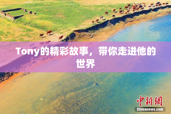 Tony的精彩故事，带你走进他的世界