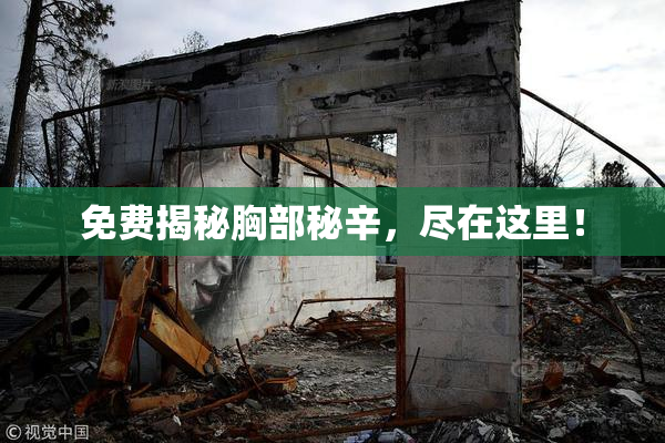 免费揭秘胸部秘辛，尽在这里！