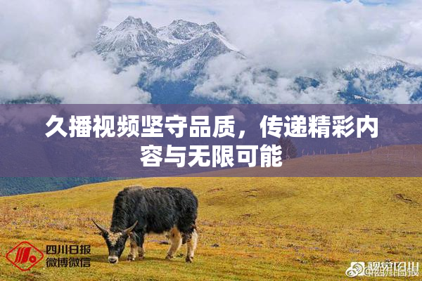 久播视频坚守品质，传递精彩内容与无限可能