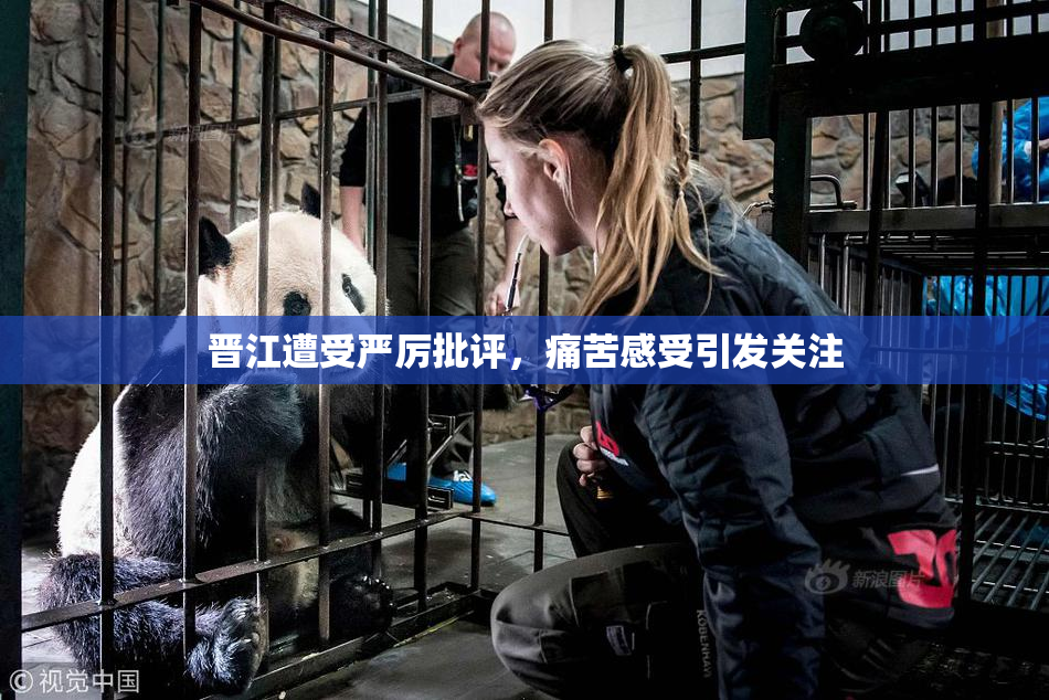 晋江遭受严厉批评，痛苦感受引发关注