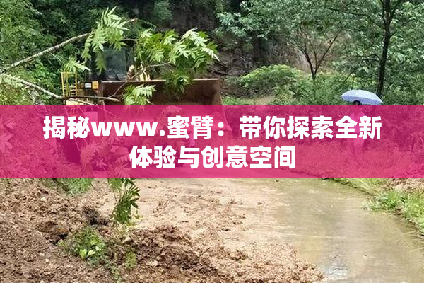 揭秘www.蜜臂：带你探索全新体验与创意空间