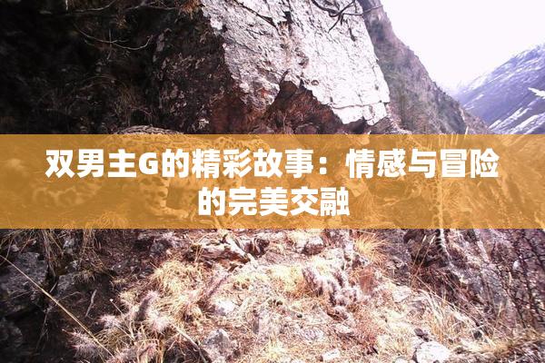 双男主G的精彩故事：情感与冒险的完美交融