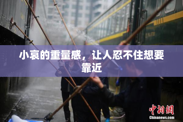 小哀的重量感，让人忍不住想要靠近