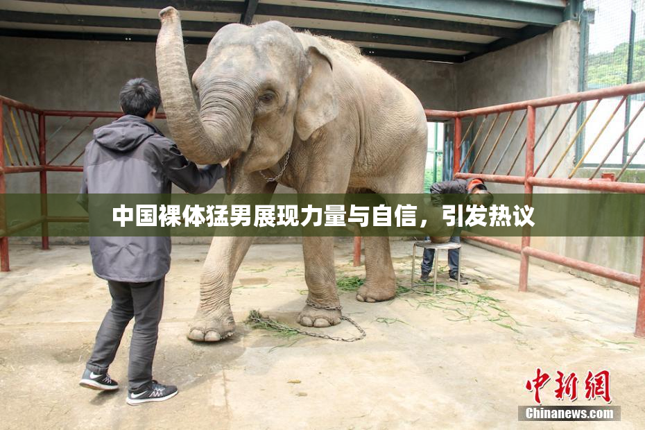中国裸体猛男展现力量与自信，引发热议