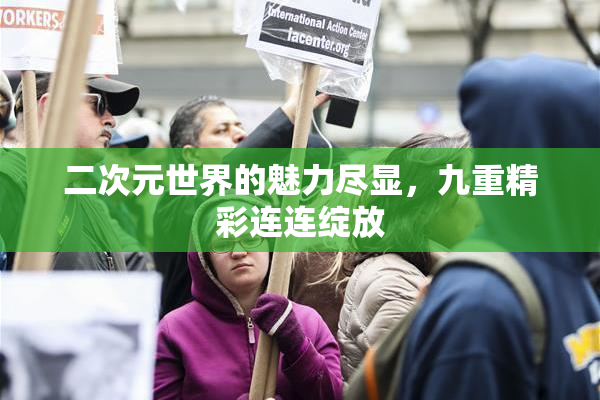 二次元世界的魅力尽显，九重精彩连连绽放