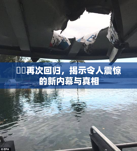 妺妺再次回归，揭示令人震惊的新内幕与真相