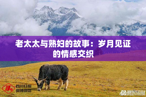 老太太与熟妇的故事：岁月见证的情感交织