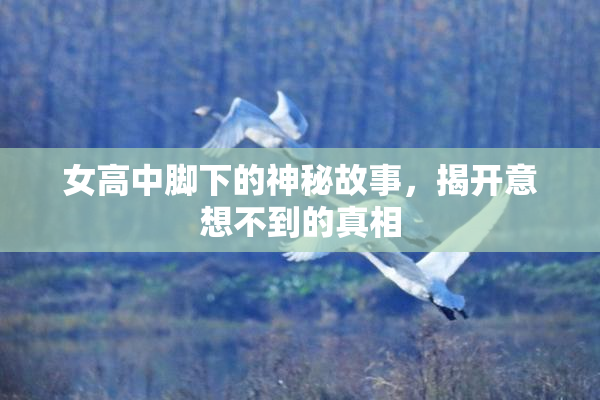 女高中脚下的神秘故事，揭开意想不到的真相