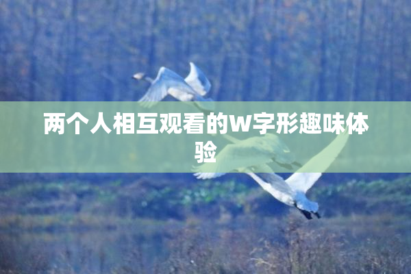 两个人相互观看的W字形趣味体验