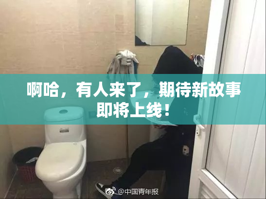 啊哈，有人来了，期待新故事即将上线！