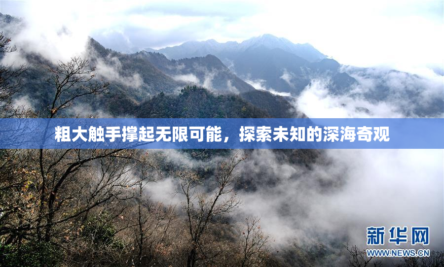 粗大触手撑起无限可能，探索未知的深海奇观