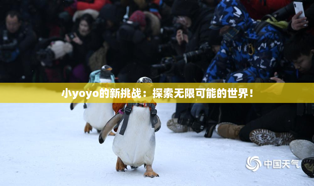 小yoyo的新挑战：探索无限可能的世界！