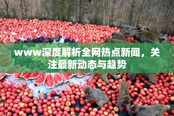 www深度解析全网热点新闻，关注最新动态与趋势