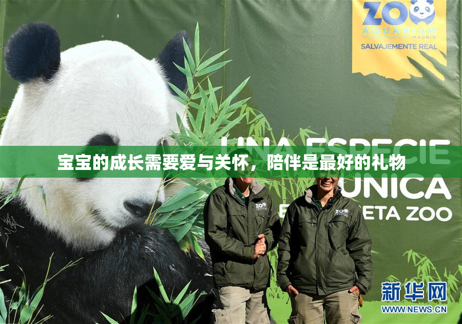 宝宝的成长需要爱与关怀，陪伴是最好的礼物