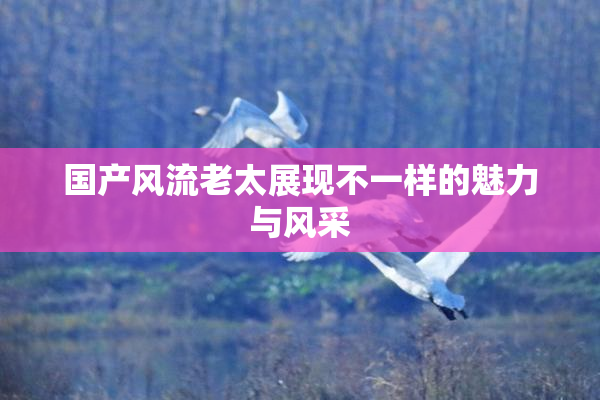 国产风流老太展现不一样的魅力与风采