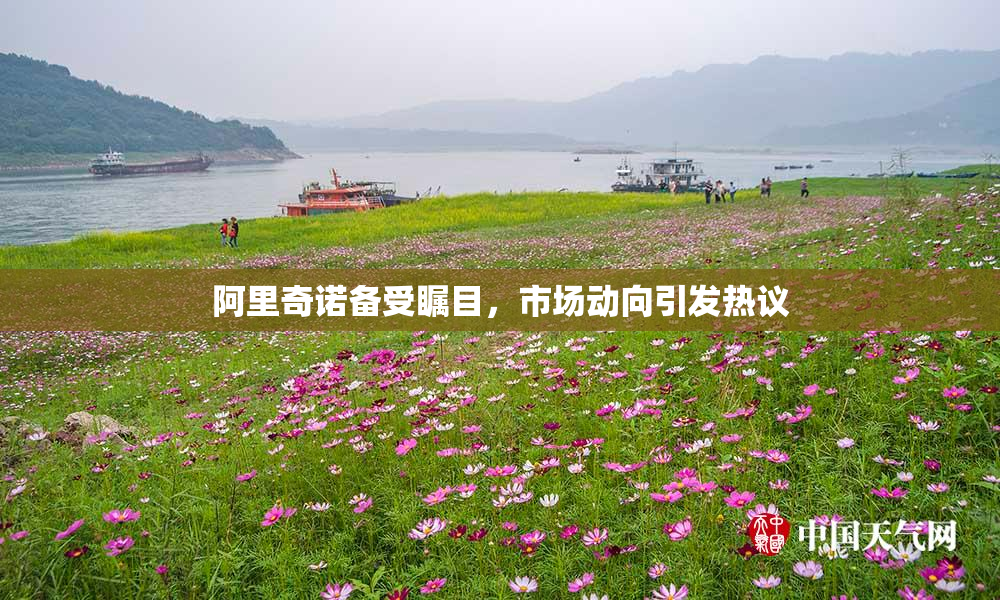 阿里奇诺备受瞩目，市场动向引发热议