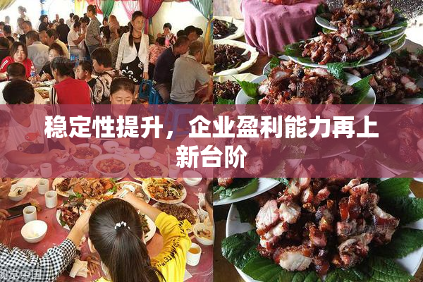 稳定性提升，企业盈利能力再上新台阶