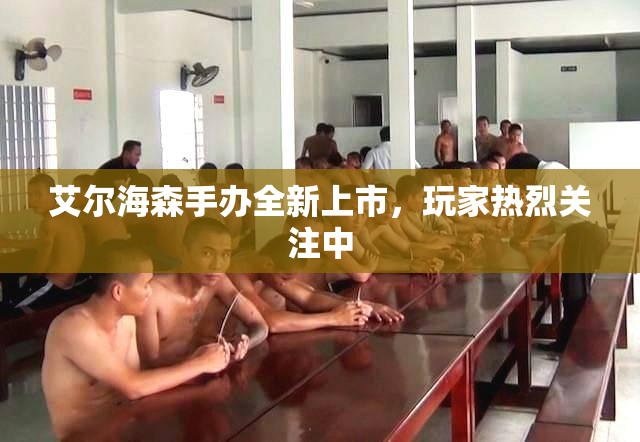 艾尔海森手办全新上市，玩家热烈关注中