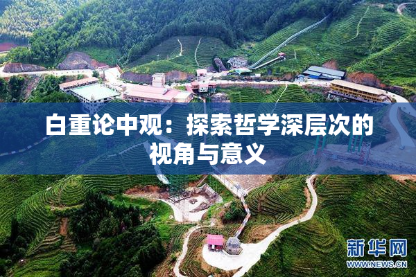 白重论中观：探索哲学深层次的视角与意义