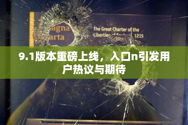 9.1版本重磅上线，入口n引发用户热议与期待
