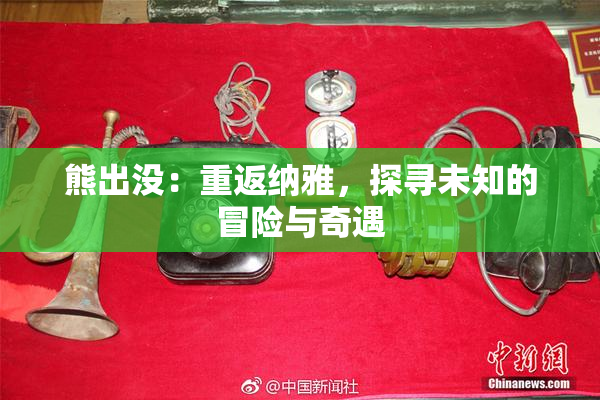 熊出没：重返纳雅，探寻未知的冒险与奇遇