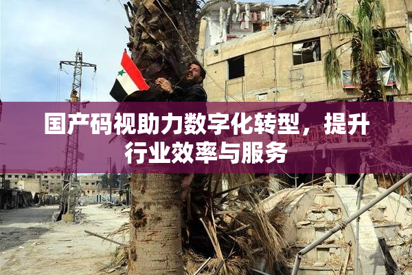 国产码视助力数字化转型，提升行业效率与服务