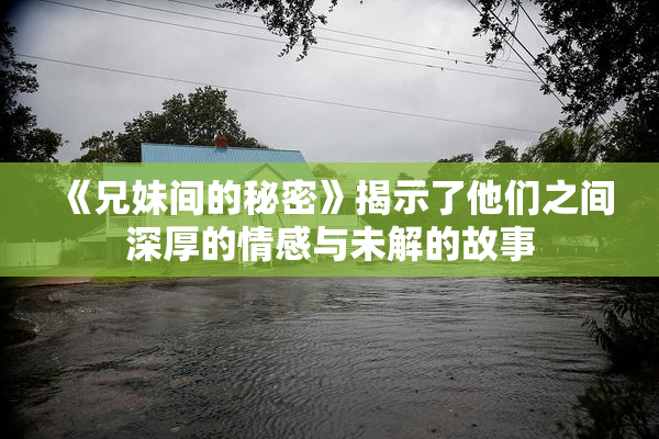《兄妹间的秘密》揭示了他们之间深厚的情感与未解的故事