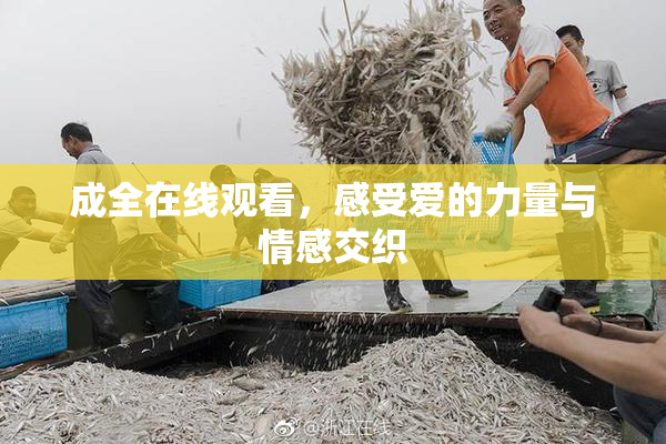 成全在线观看，感受爱的力量与情感交织
