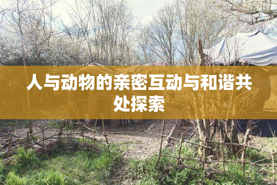 人与动物的亲密互动与和谐共处探索
