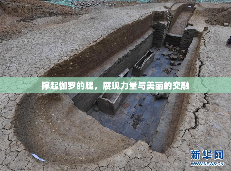 撑起伽罗的腿，展现力量与美丽的交融