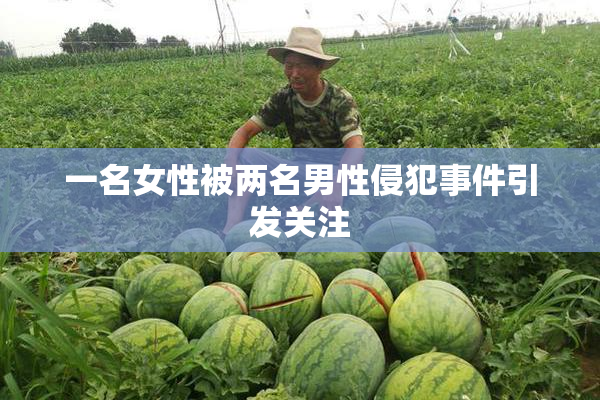 一名女性被两名男性侵犯事件引发关注