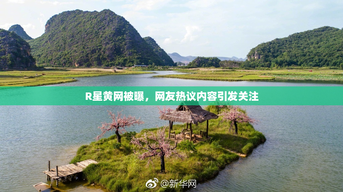 R星黄网被曝，网友热议内容引发关注