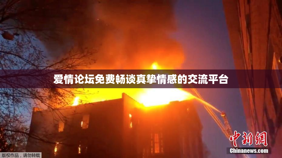 爱情论坛免费畅谈真挚情感的交流平台