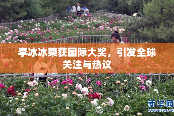 李冰冰荣获国际大奖，引发全球关注与热议