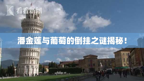 潘金莲与葡萄的倒挂之谜揭秘！