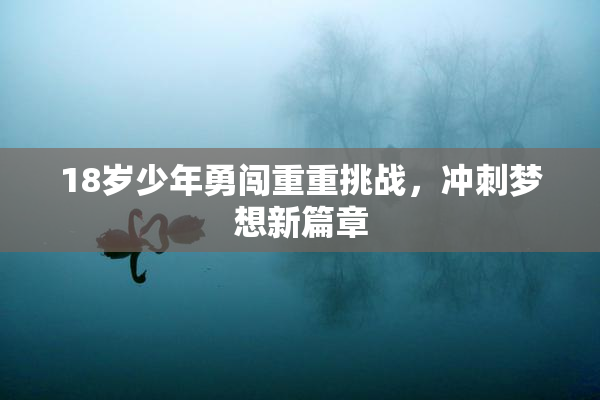 18岁少年勇闯重重挑战，冲刺梦想新篇章