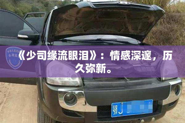 《少司缘流眼泪》：情感深邃，历久弥新。
