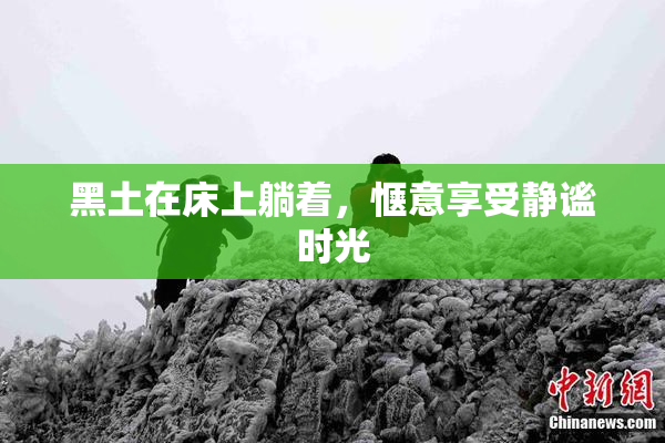 黑土在床上躺着，惬意享受静谧时光