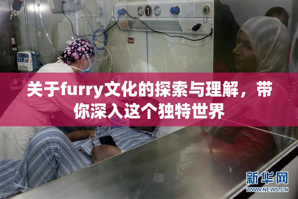 关于furry文化的探索与理解，带你深入这个独特世界