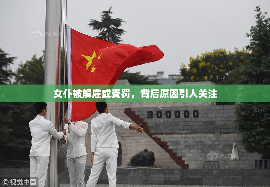女仆被解雇或受罚，背后原因引人关注