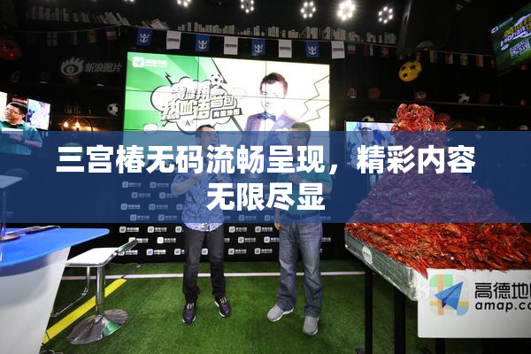 三宫椿无码流畅呈现，精彩内容无限尽显