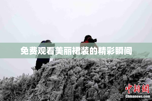 免费观看美丽裙装的精彩瞬间