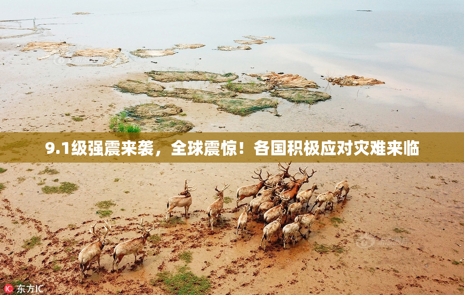 9.1级强震来袭，全球震惊！各国积极应对灾难来临