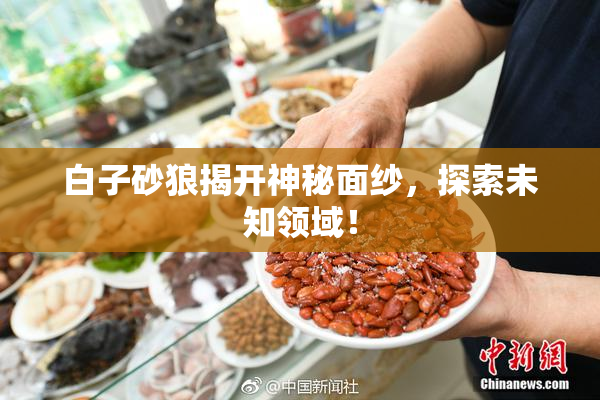 白子砂狼揭开神秘面纱，探索未知领域！