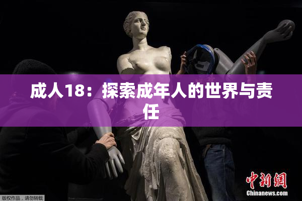 成人18：探索成年人的世界与责任