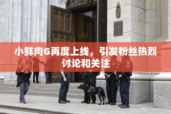 小鲜肉G再度上线，引发粉丝热烈讨论和关注