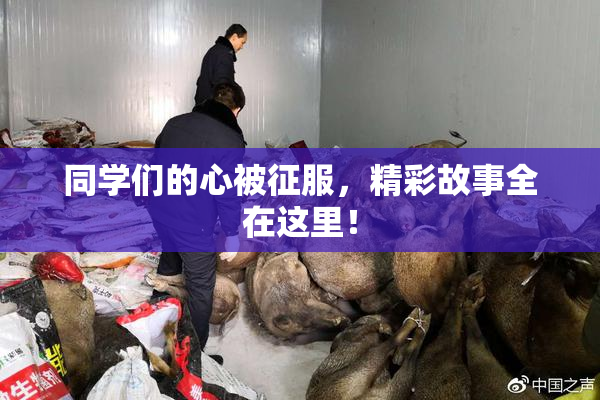 同学们的心被征服，精彩故事全在这里！